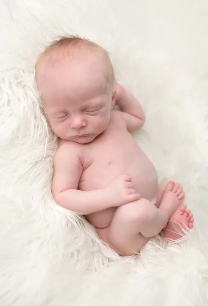 Newborn Asleep — Stock Photo, Image