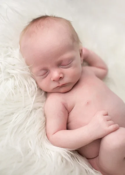 Recién nacido dormido — Foto de Stock