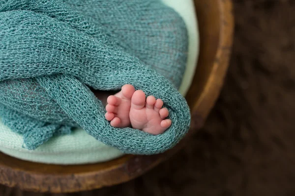 Newborn in a Bowl, Macro of Toes, Feet Стоковое Изображение