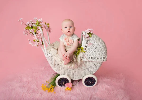 Bebê sentado em carrinho — Fotografia de Stock