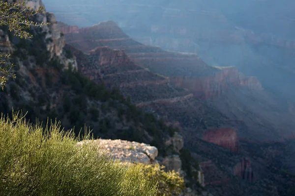 Grand Canyon, Arizona — Stockfoto