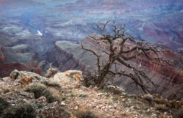 Grand canyon zonsondergang, arizona — Stockfoto