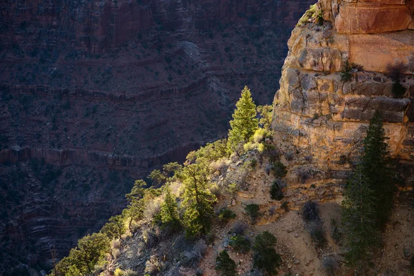 Grand Canyon, Arizona — Stockfoto