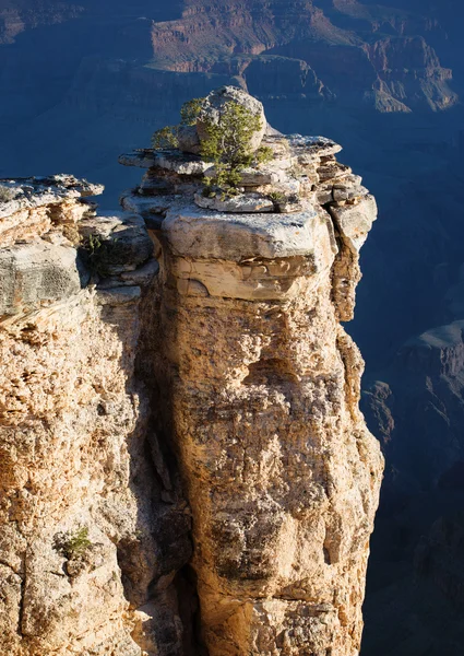 Büyük Kanyon, arizona - Stok İmaj