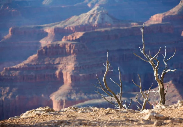 Grand canyon zonsondergang, arizona Rechtenvrije Stockfoto's