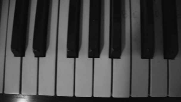 モノクロでピアノの鍵盤楽器を白黒でクローズアップ — ストック動画