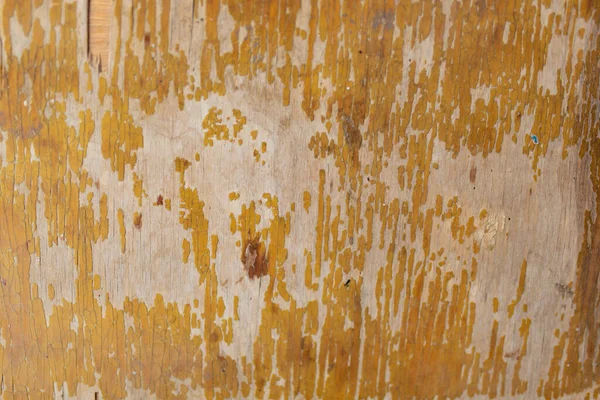 Texture Tree Cracked Varnish — Stock Photo, Image