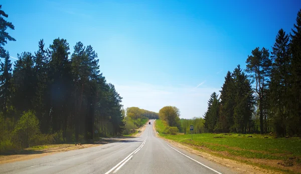 Asfalt yol ve orman — Stok fotoğraf