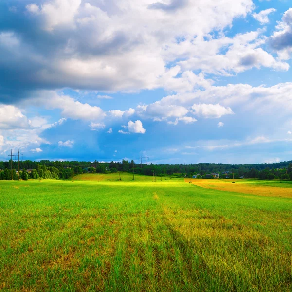 Paesaggio rurale luminoso — Foto Stock