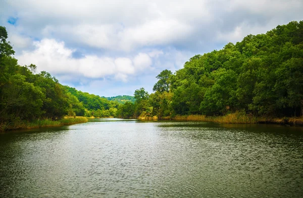 stock image Ropotamo river in Bulgaria