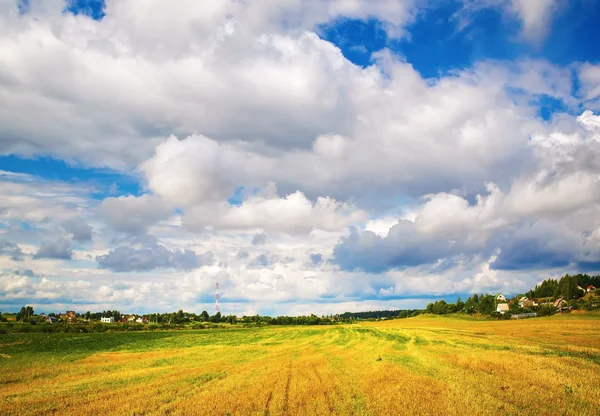 Bright rural landscape — Stock Photo, Image