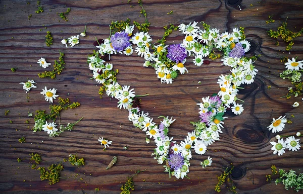 Heart made of flowers — Stock Photo, Image