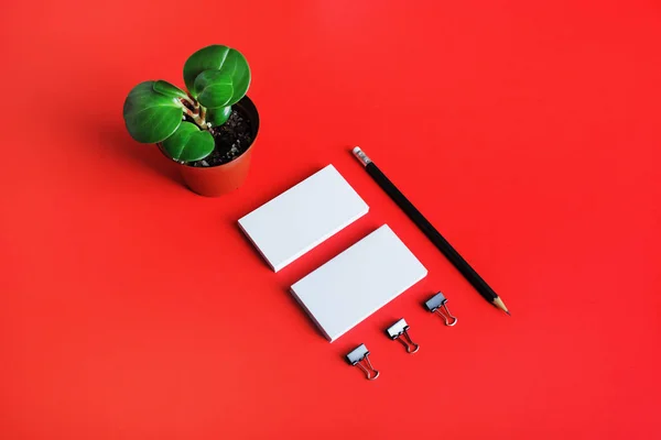 Blank stationery template on red paper background. Business cards, pencil and plant. Mock-up for branding ID for designers.