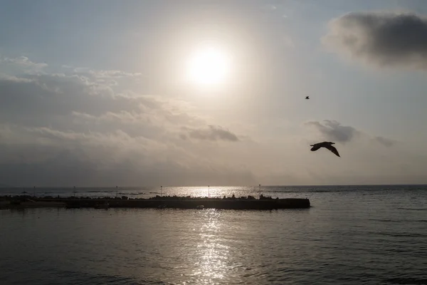 Silhouette di un molo all'alba — Foto Stock