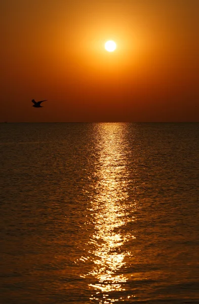 Sonnenaufgang über dem Meer — Stockfoto