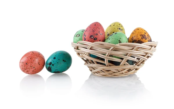 Quail eggs in a basket — Stock Photo, Image