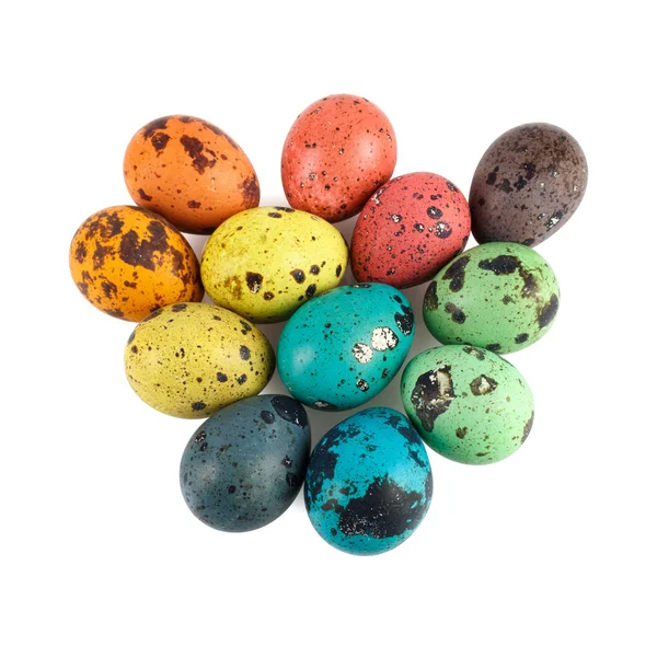 Colored quail eggs — Stock Photo, Image