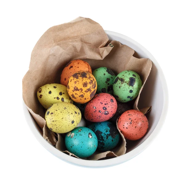 Painted quail eggs — Stock Photo, Image