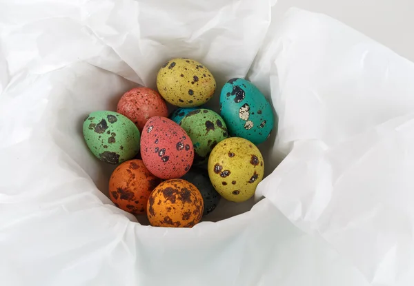 Colored quail eggs — Stock Photo, Image