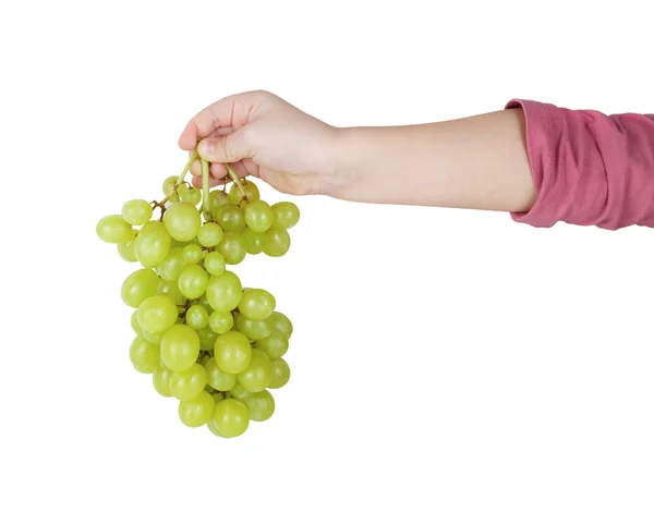 Um bando de uvas na mão — Fotografia de Stock