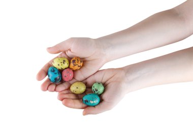 Yumurtalar ellerinde