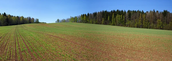 Odlingsbara fält — Stockfoto