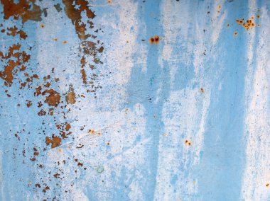 sisli iğne yapraklı ağaç içinde ağaç patika