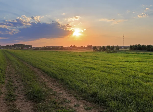 Louka při západu slunce — Stock fotografie