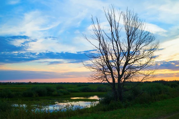 Sunset in the countryside — Stock Photo, Image