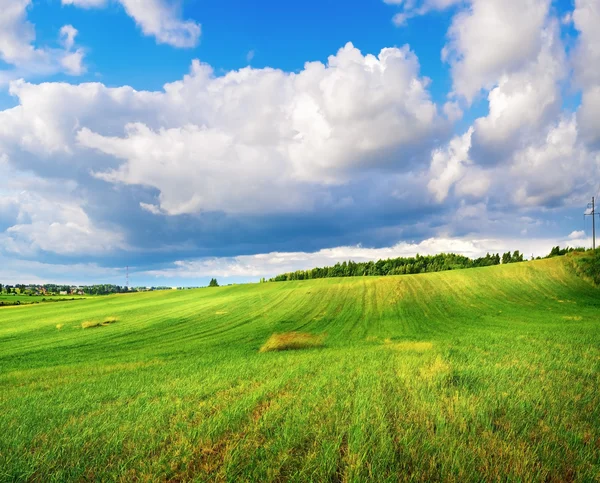 Field of grass and cloudy sky — Stock Photo, Image