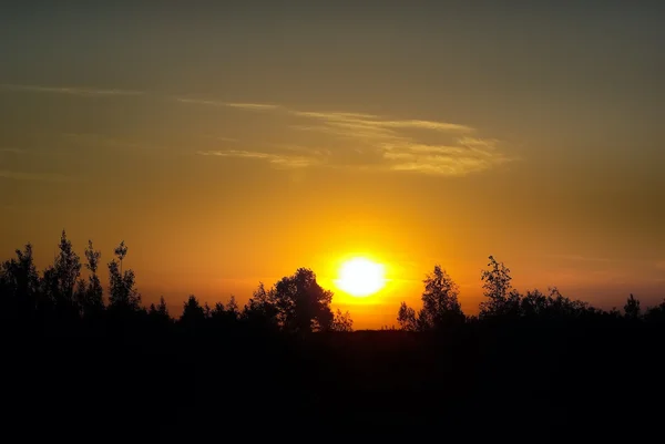 Puesta de sol en el campo —  Fotos de Stock