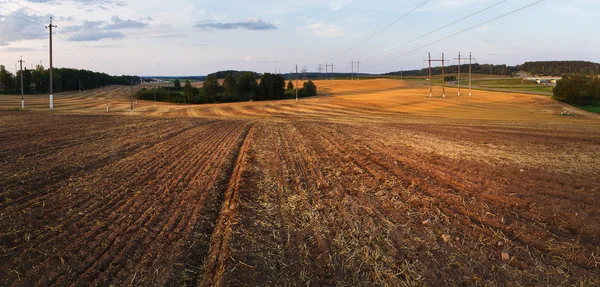 Campo dopo il raccolto — Foto Stock