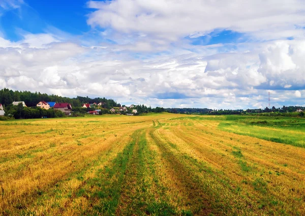 Поле Cut Grass — стоковое фото