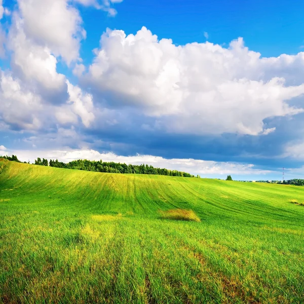 Зеленая трава и облачное небо — стоковое фото