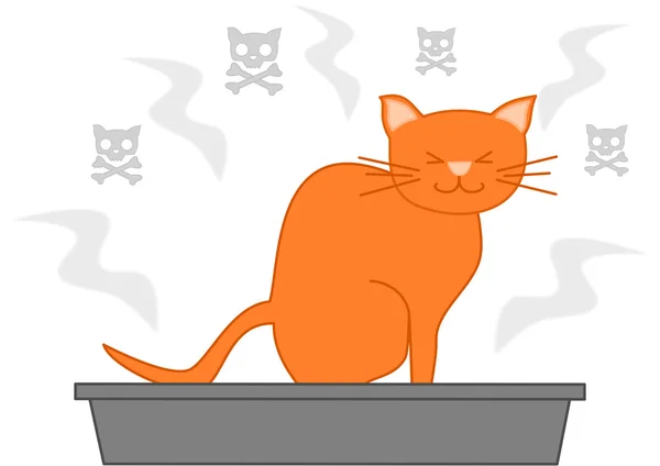Katt poop i skräp låda rolig tecknad bild — Stockfoto