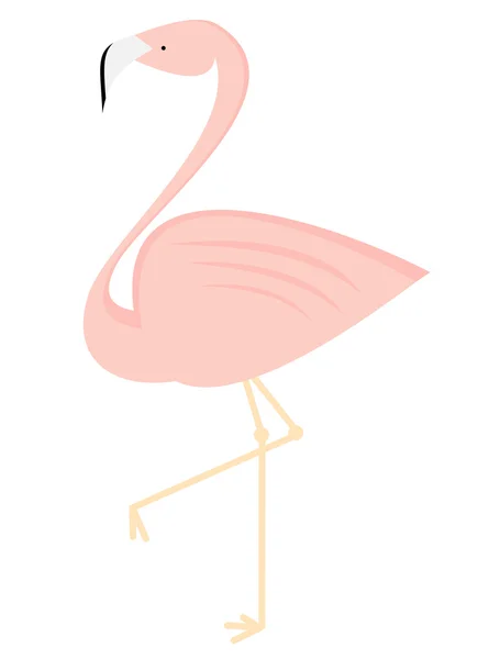 Flamingo bonito isolado na ilustração vetorial de fundo branco —  Vetores de Stock