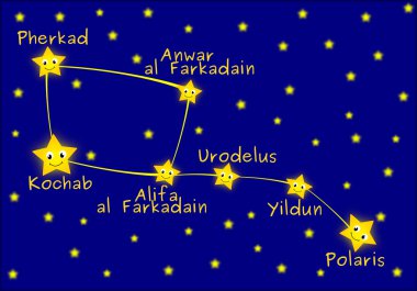 Küçük Ayı takımyıldızı astronomi çizgi film illüstrasyon