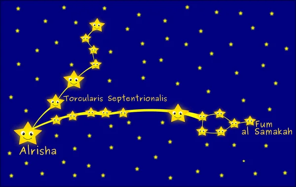 双鱼座星座天文学卡通插图 — 图库照片