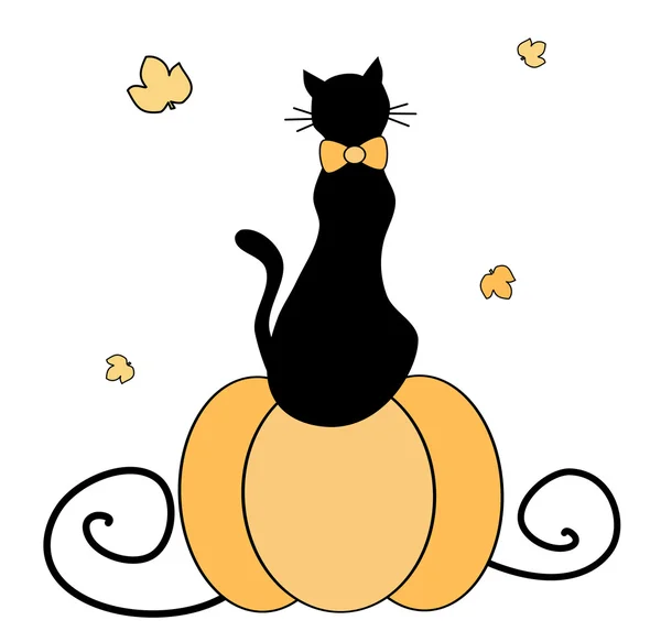 Bonito preto gato no Grande abóbora vetor ilustração — Vetor de Stock