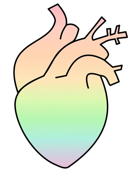 Rainbow watercolor human heart concept illustration — Stock Photo, Image
