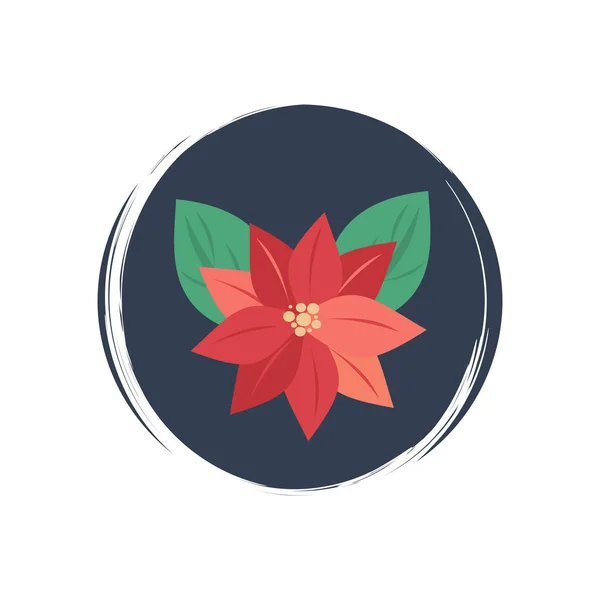 Söt Jul Blomma Julstjärna Ikon Vektor Illustration Cirkel Med Pensel — Stock vektor