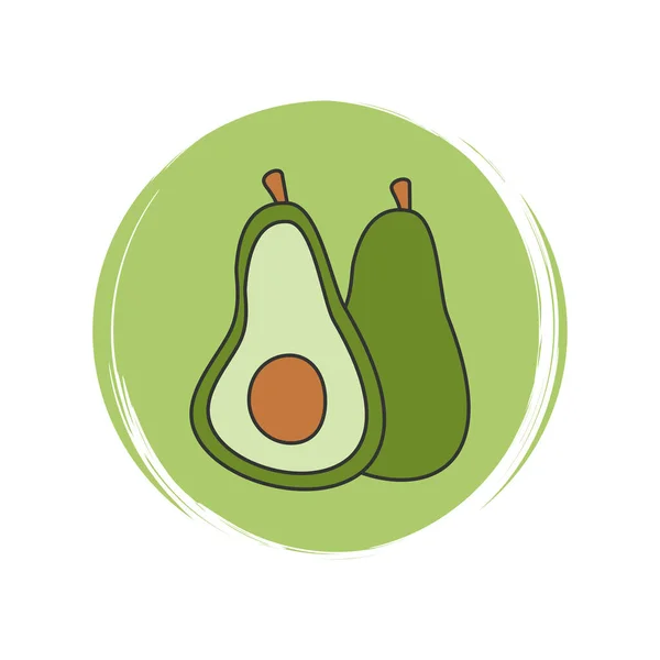 Carino Logo Icona Vettoriale Con Avocado Illustrazione Cerchio Con Texture — Vettoriale Stock