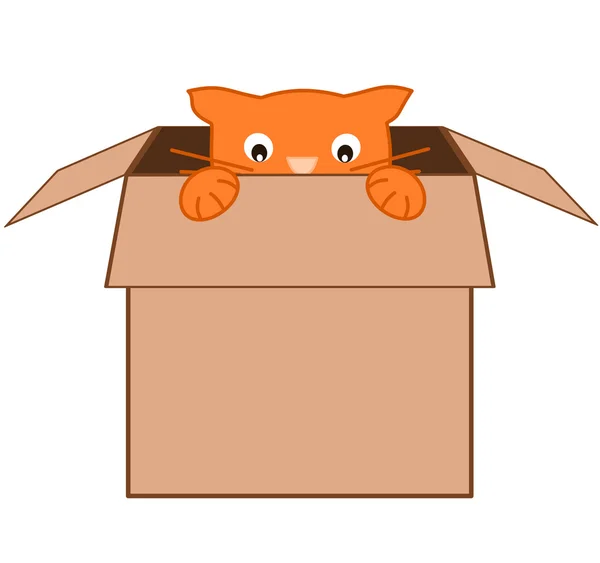 Смішний милий мультяшний помаранчевий кіт в картонній коробці Векторні ілюстрації — стоковий вектор