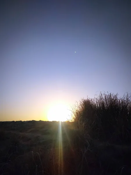 Matahari Terbenam Lapangan Dengan Rumput Liar — Stok Foto