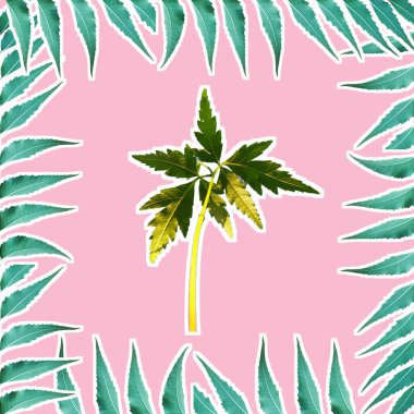 Bir Azadirachta indica çerçeveyi küçük ağaçla bırakır