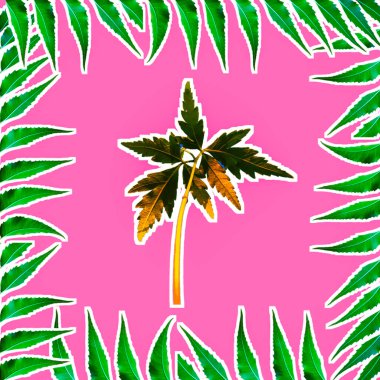 Azadirachta indica yaprak çerçeve küçük ağaç ile illüstrasyon