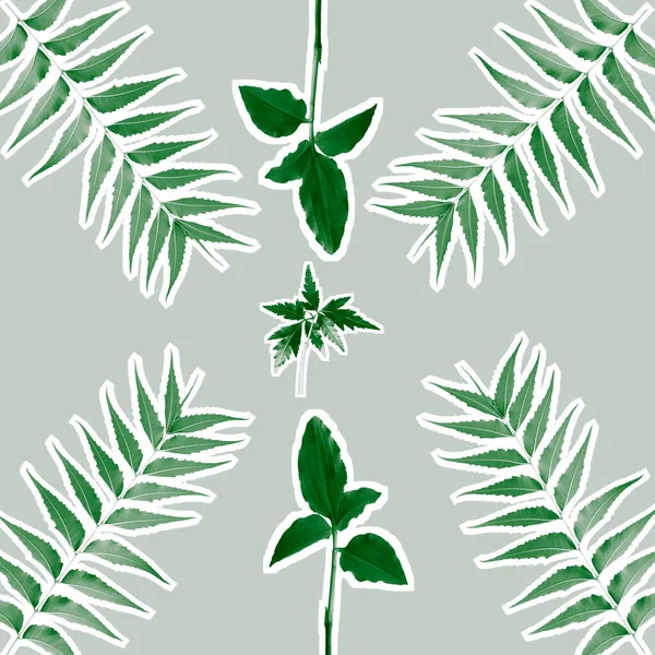 Pattern Azadirachta Indica Green Leaves — Stock Photo, Image
