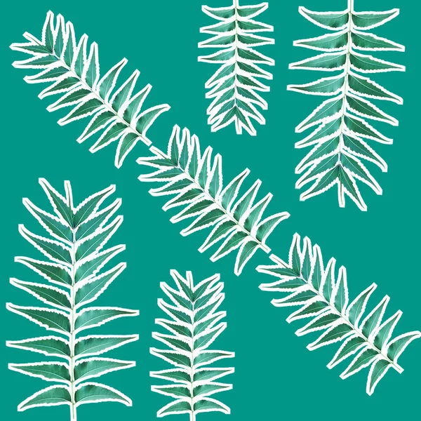 Seamless Pattern Azadirachta Indica Leaves — Stock Photo, Image