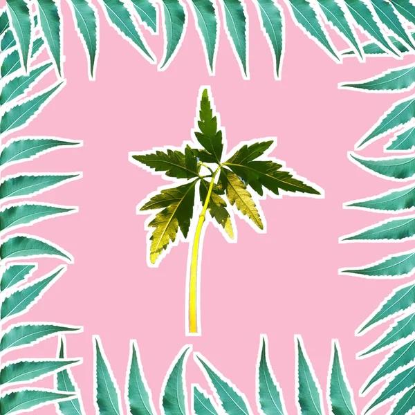 Bir Azadirachta indica çerçeveyi küçük ağaçla bırakır