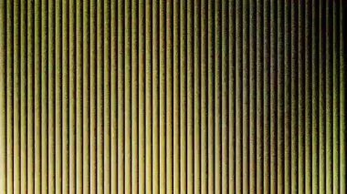 Fütürist cam soyut 4k video arkaplan modeli soyut çok renkli kırmızı mavi dalga dikey tırtıklı çizgiler ışık ve gölge dijital sanat arkaplan ses dokusu